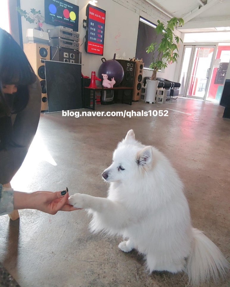 무즐라 이미지