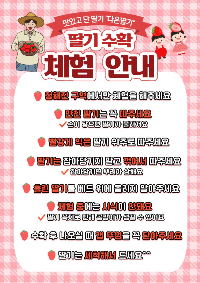 다은딸기 이미지