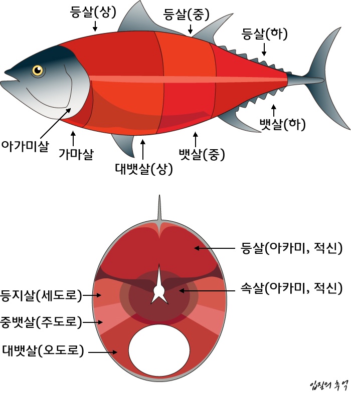 수참치 이미지
