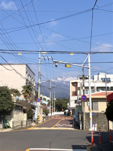 씨씨씨 이미지