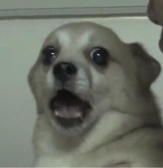 치킨에홀린까닭홀까닭 이미지