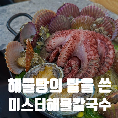미스터해물칼국수 이미지