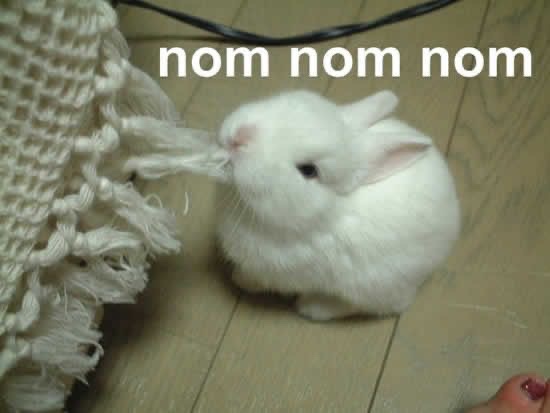 기쁨양꼬치 이미지