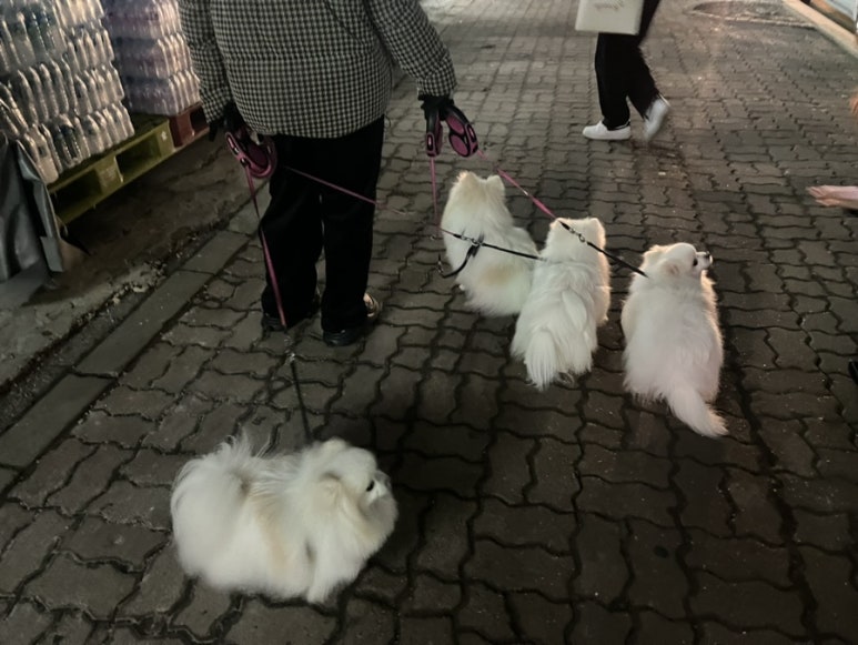 조개대통영 의정부점 이미지