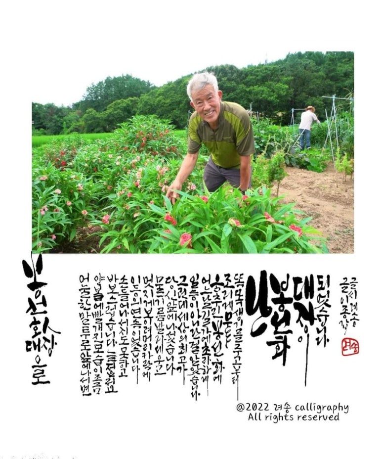 봉선화식품 이미지