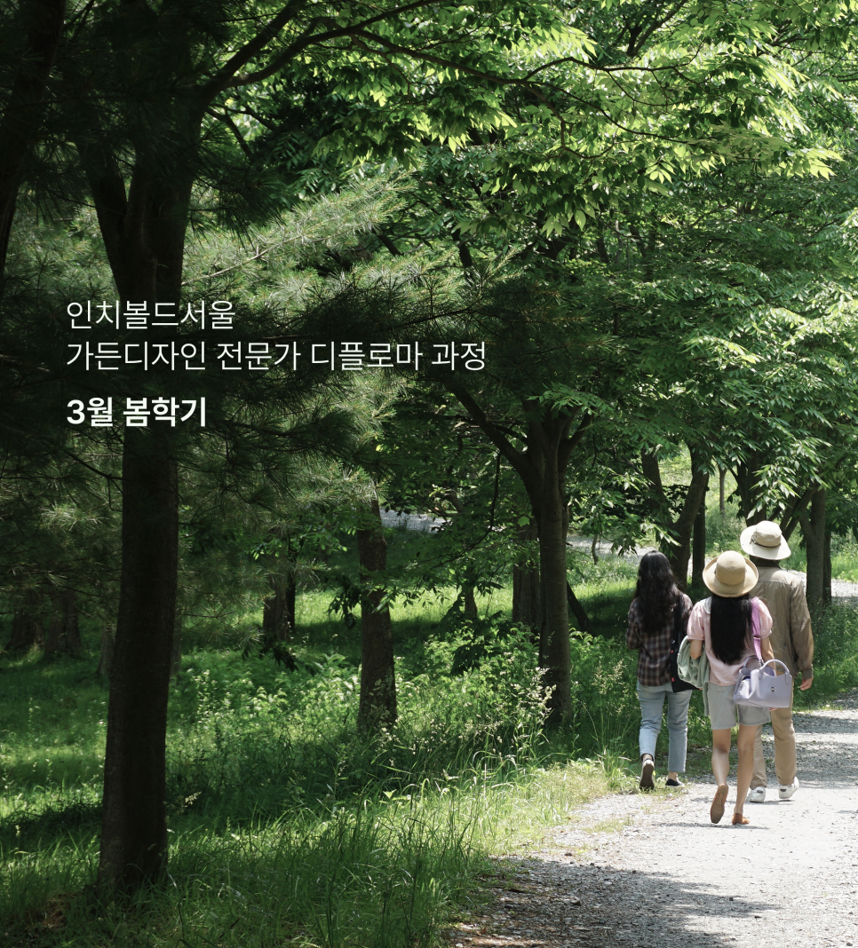 인치볼드서울 이미지