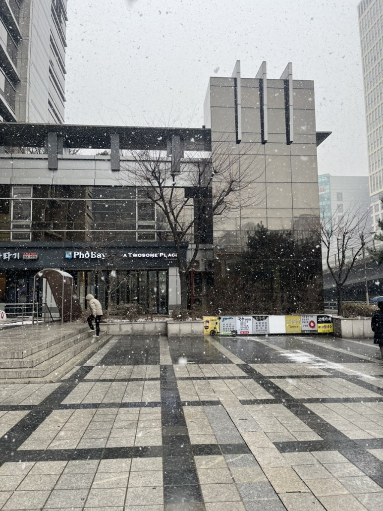 고레카레 가산점 이미지