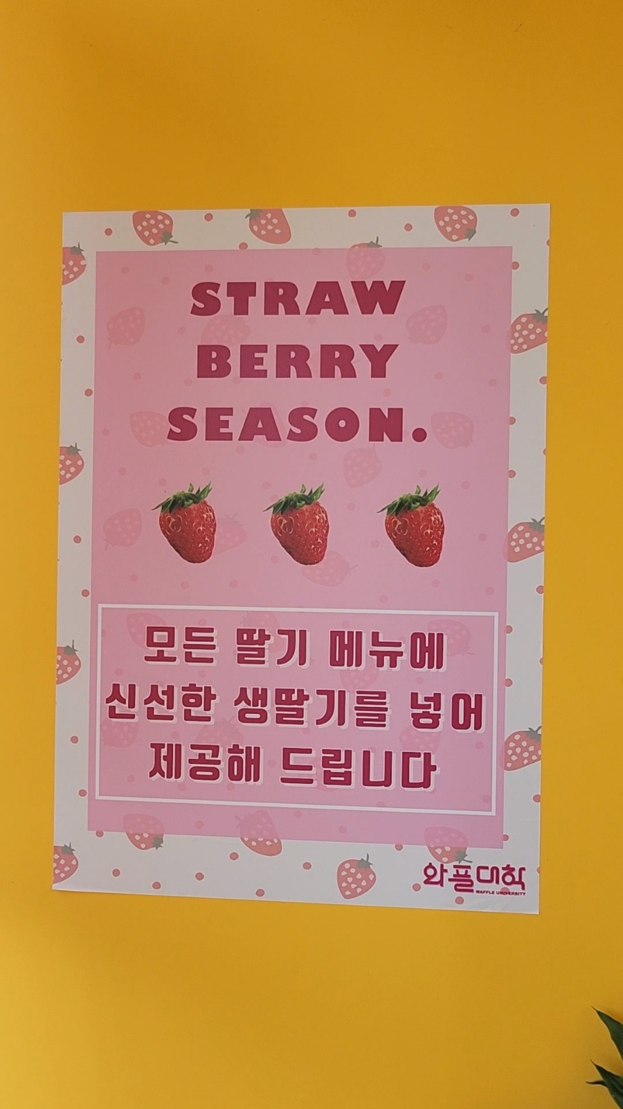 와플대학 충북단양캠퍼스 이미지