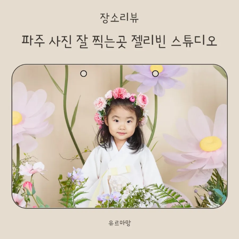 젤리빈스튜디오 이미지
