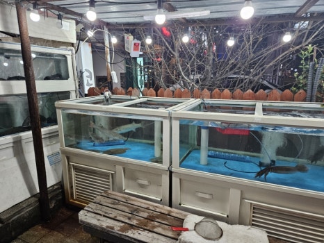 자갈치회포차 이미지