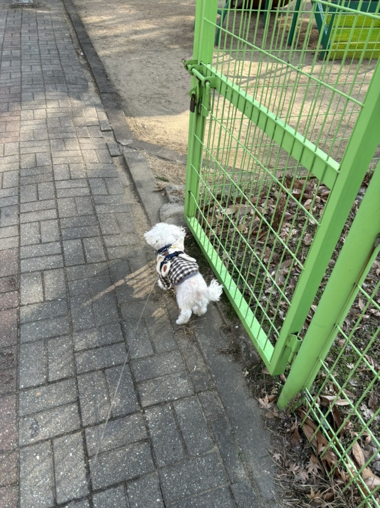 새미르어린이집 이미지
