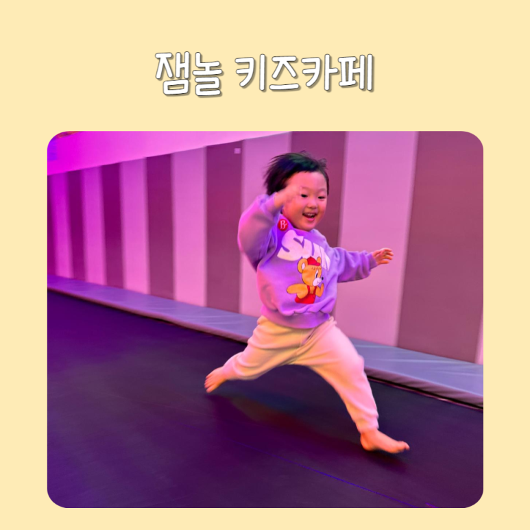 잼놀 이미지
