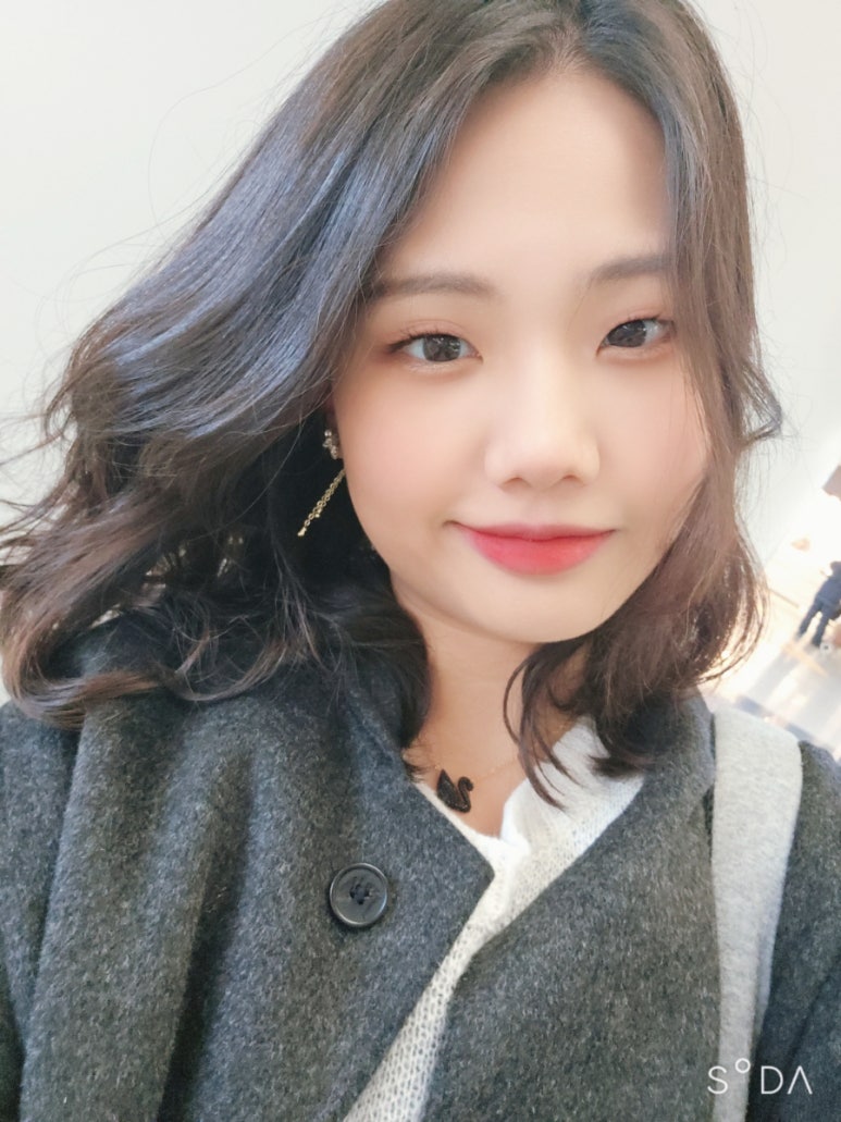 모아이818 이미지