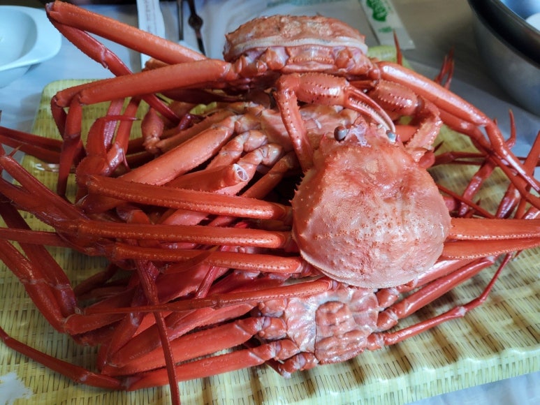 바다홍게 이미지