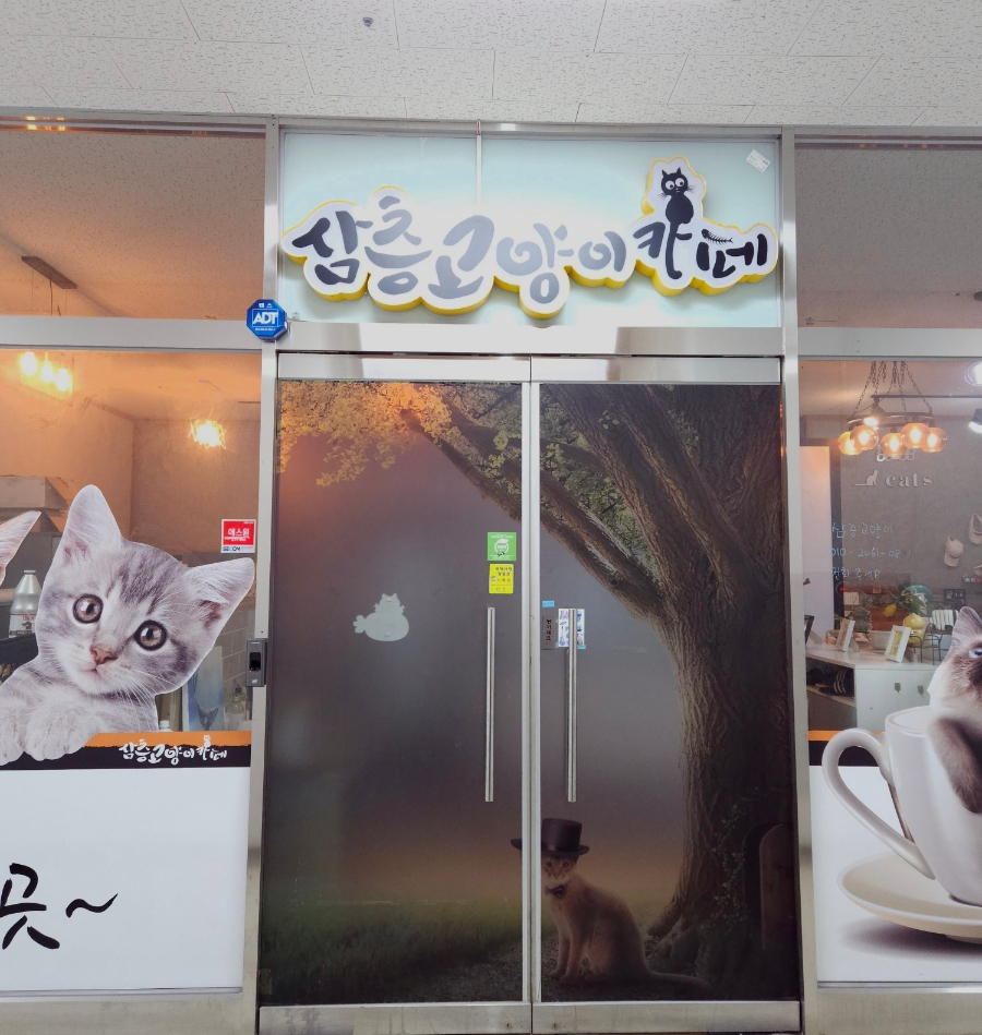 삼층고양이 이미지