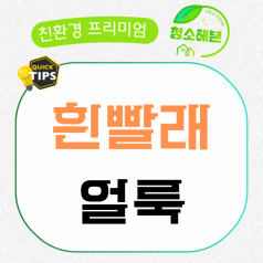 메인이미지1