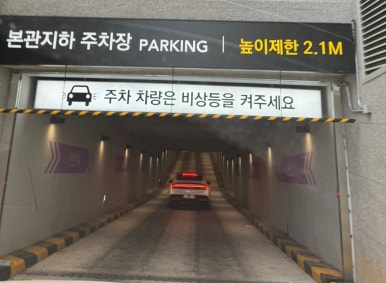 베이글펫 이미지