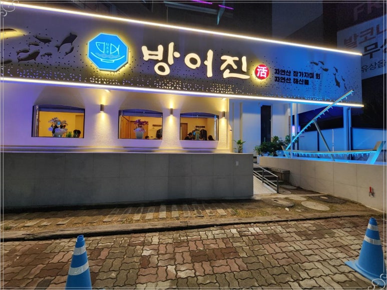 참가자미집 이미지