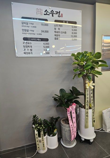 소우정 이미지