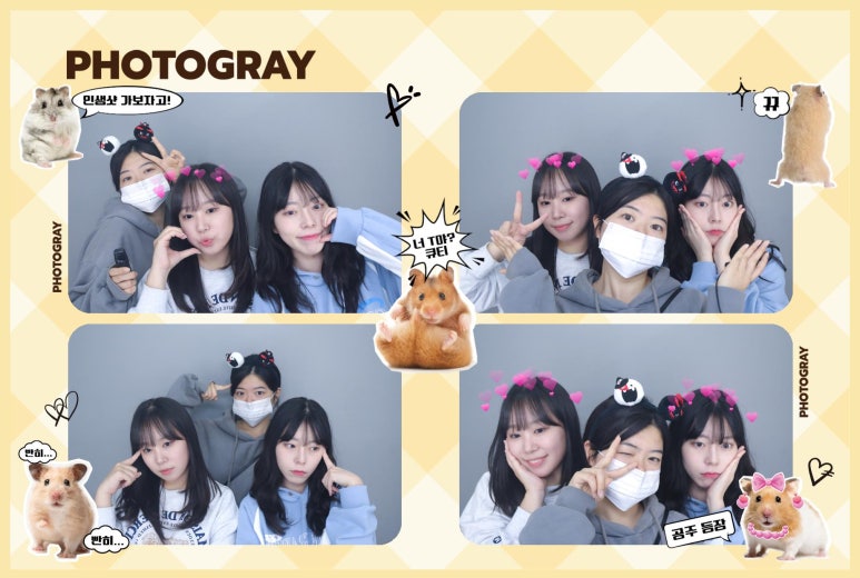 다인위즈 이미지