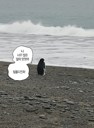 토카커피 이미지