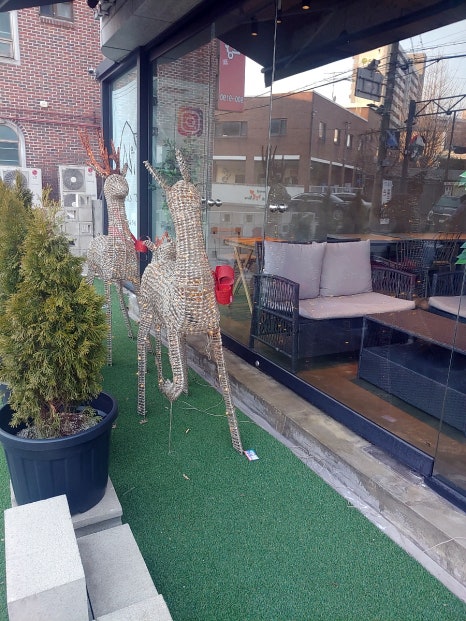 누메로755 이미지