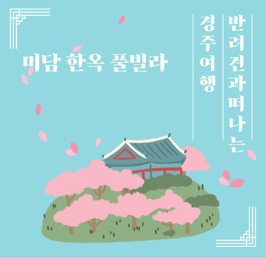 경주미담한옥풀빌라 이미지