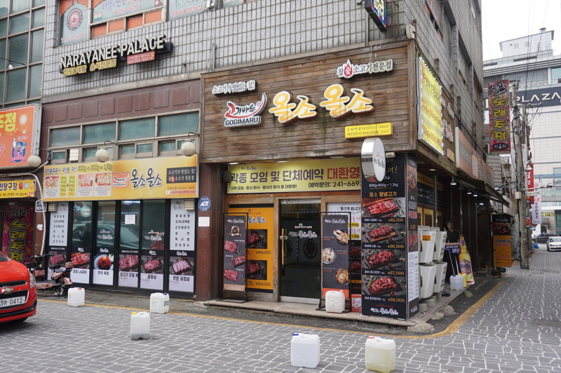 올소올소 이미지