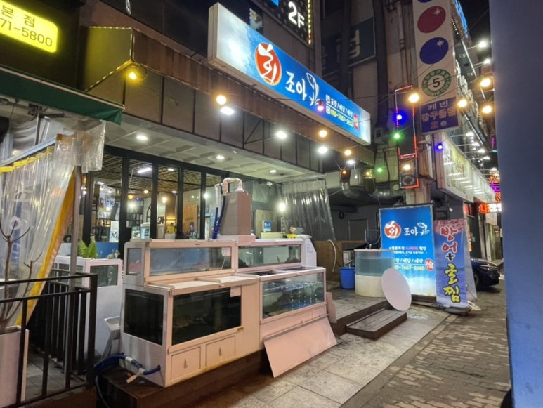 회조아 이미지