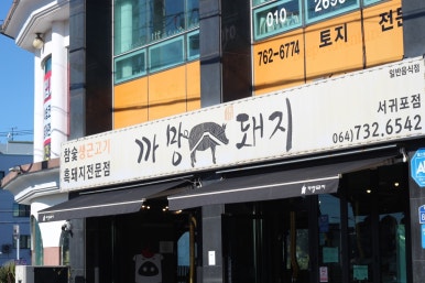 흥분돼지 이미지