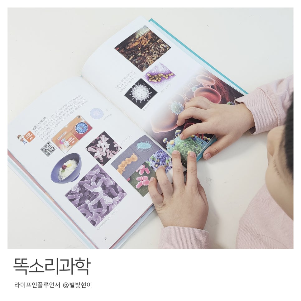 (주)황우 이미지