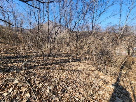 군위전투전승기념공원캠핑장 이미지