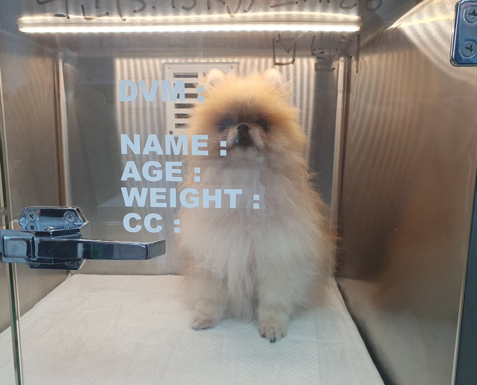 리더스병원 이미지