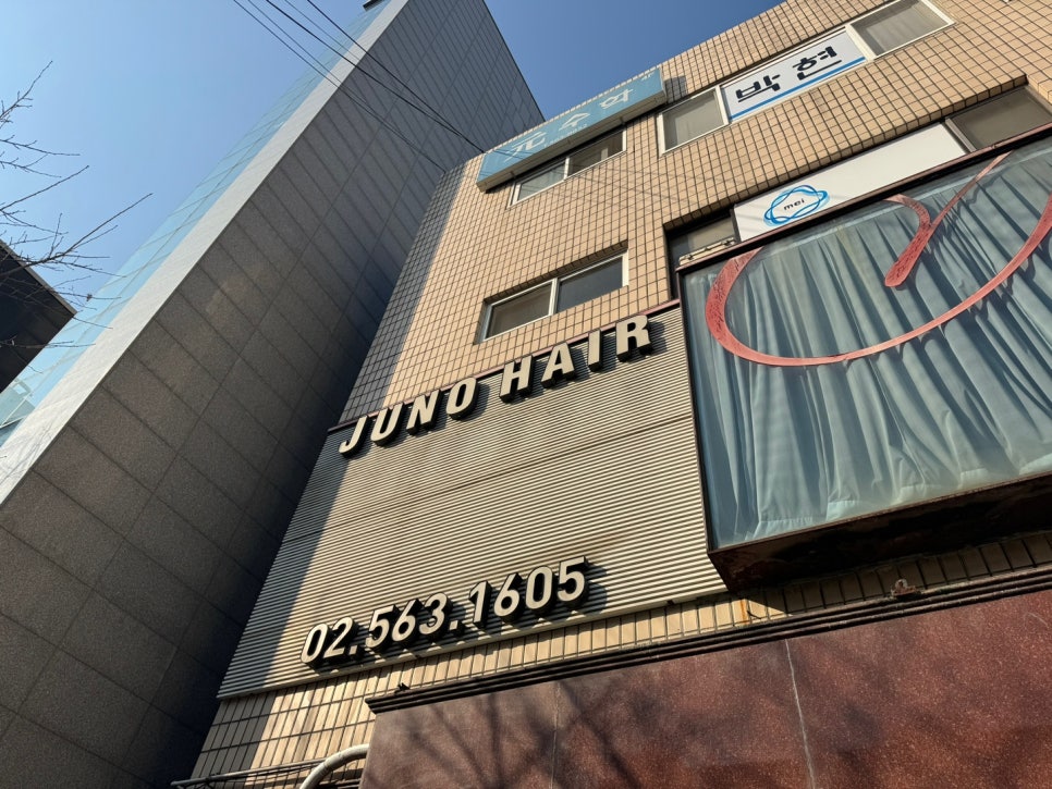 준오토스 이미지
