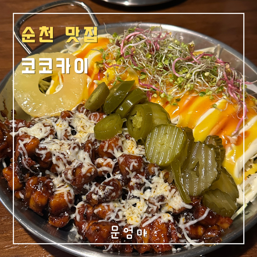 코코카이 이미지