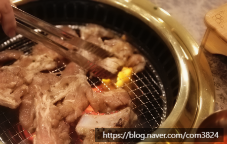 고반정 이미지