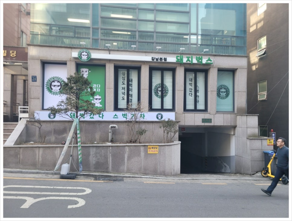 돼지벅스 이미지