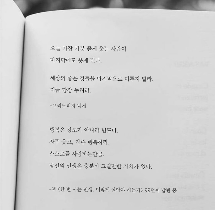 투사랑 이미지