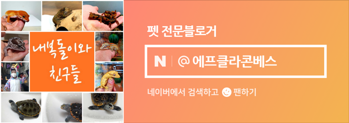 마치st118 이미지