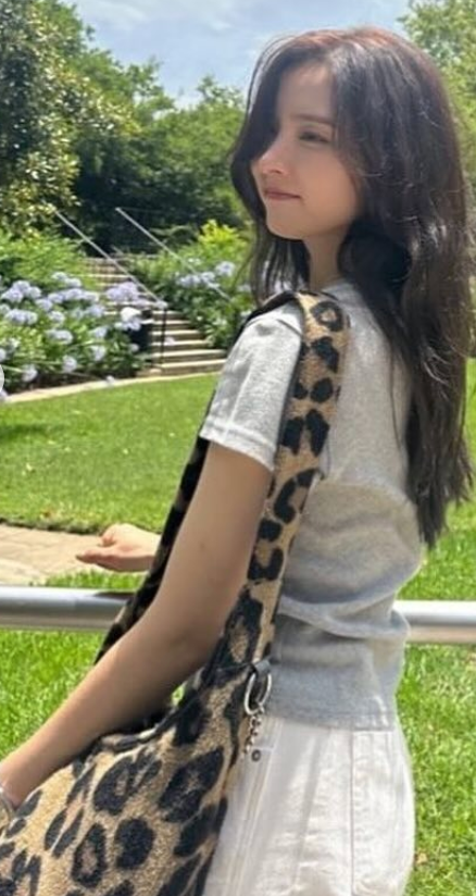 와이와이모토 이미지