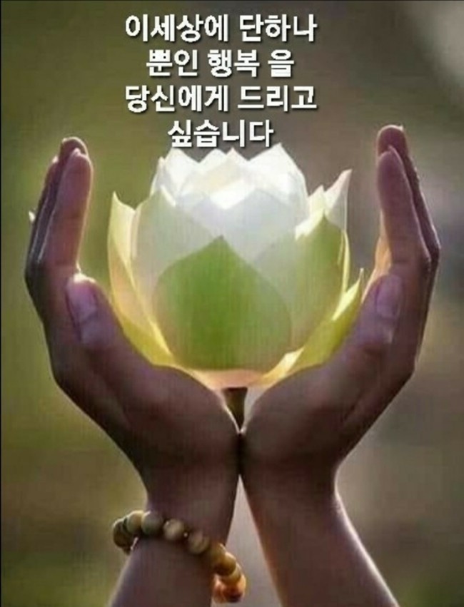 행복법무사 이미지