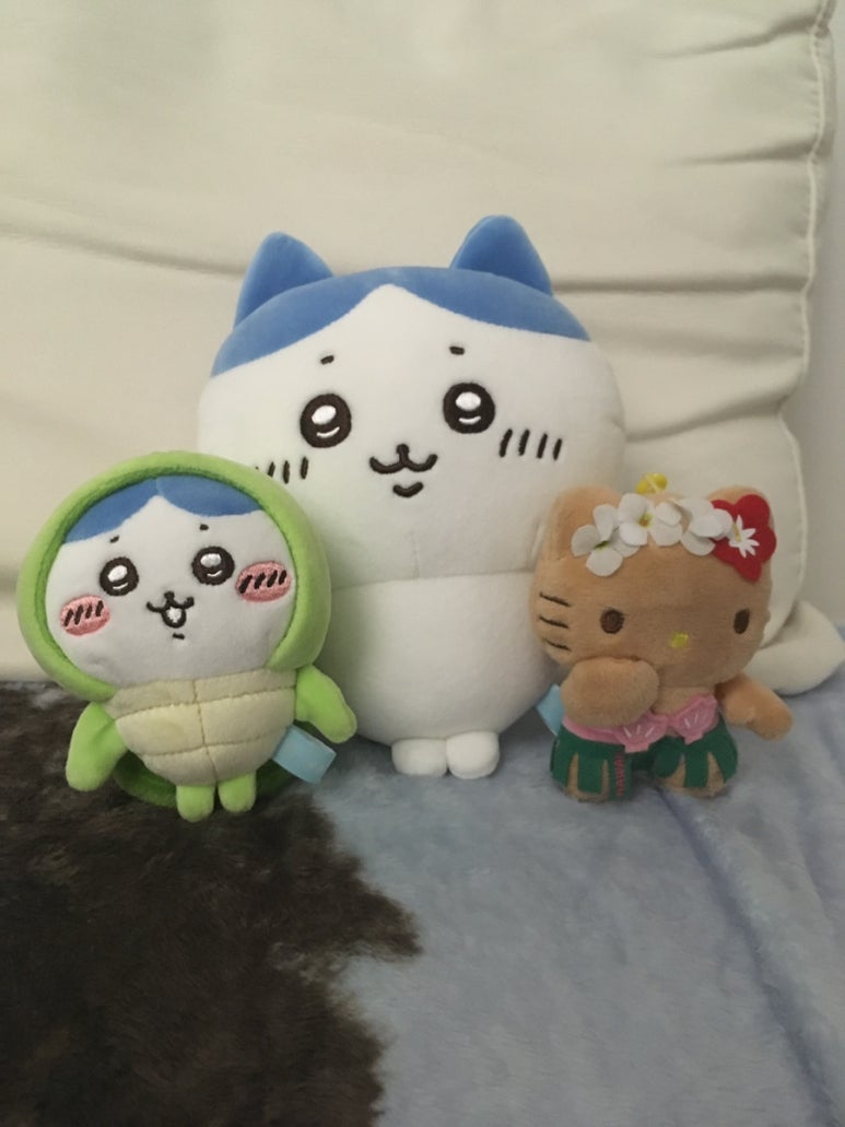 헬로경원 이미지