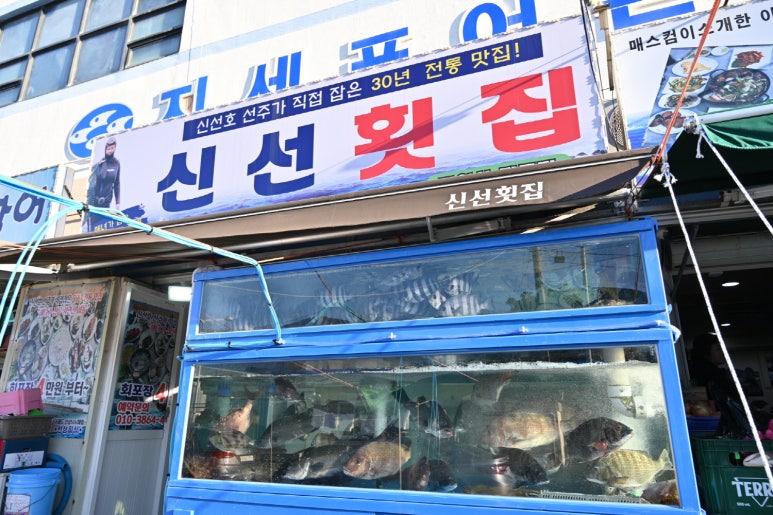 신선횟집 이미지