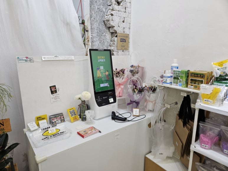 라이티티아플로 이미지