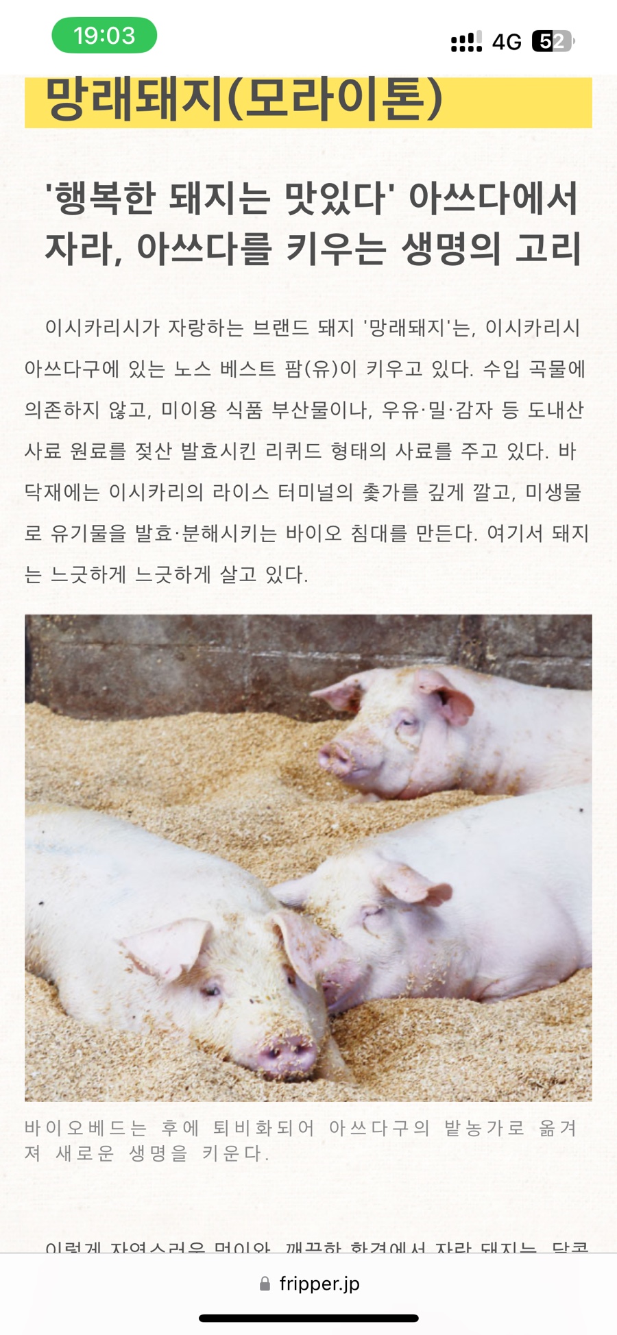 Meat shop(미트샵) 이미지