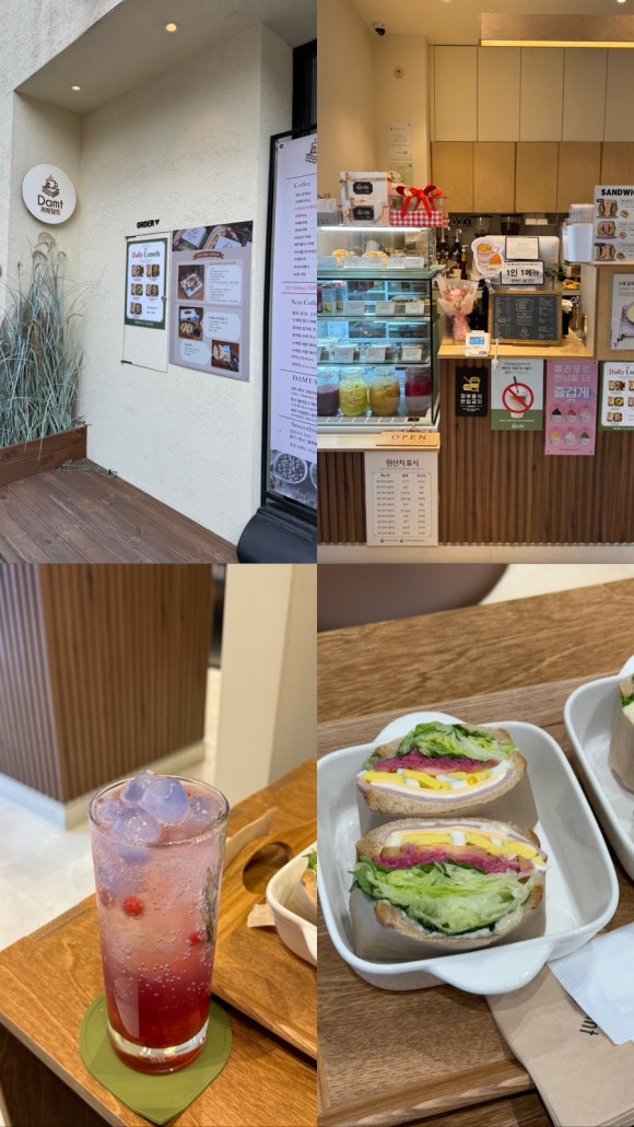 담트 이미지