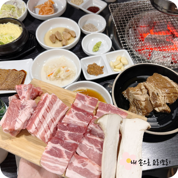 오월돼지 이미지