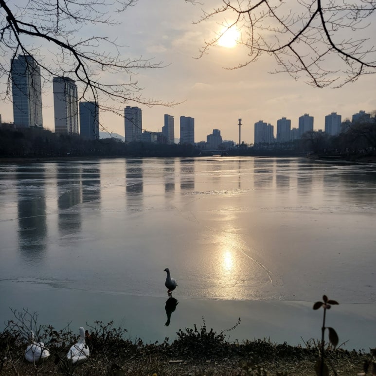 두발로걷자 이미지