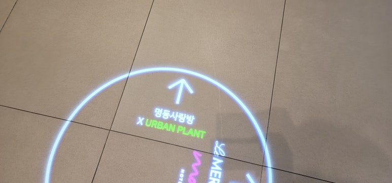 써니플랜트 이미지