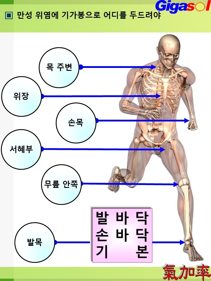 기가솔건강방 이미지